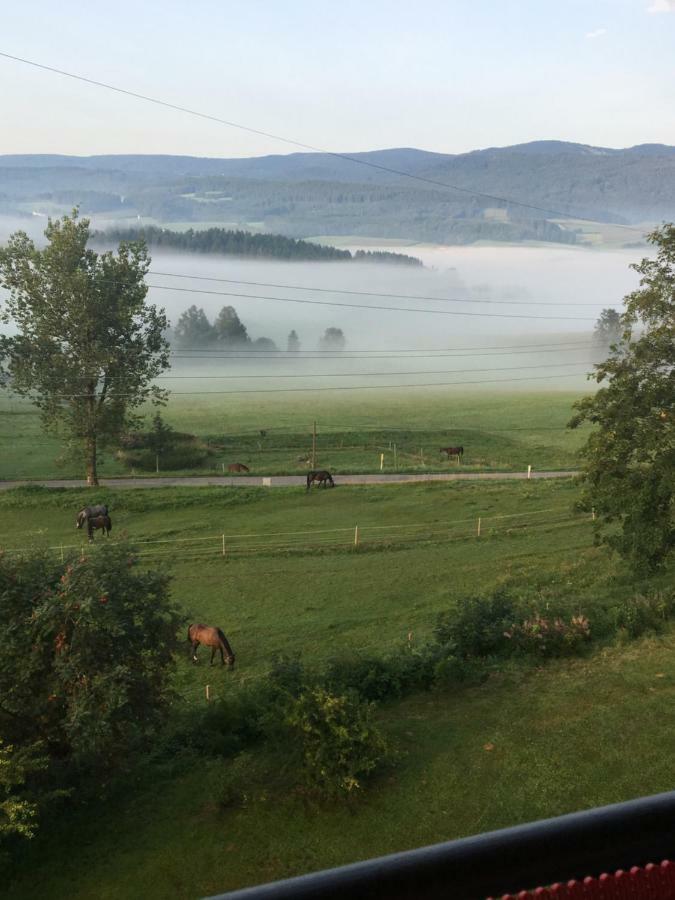 Lussen Leilighet Regen Eksteriør bilde